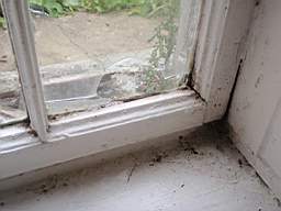 edencottages - 5309.jpg